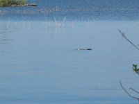 IMG_0109.JPG