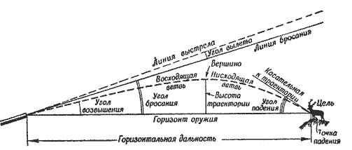 4.gif