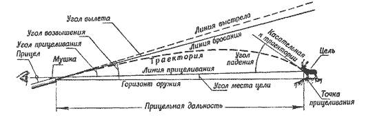 6.gif