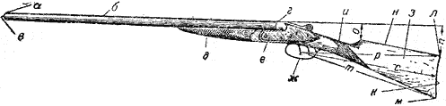 Рис 13. Основные части ружья и ложи