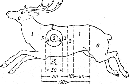 Мишень бегущего оленя