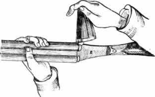 Рис. 8. Система Гея