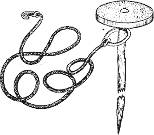 Кружок, кольцо и шнур для высадки подсадной 