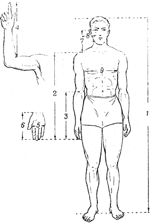 Обмер частей тела стрелка для подбора прикладистого для него оружия. Перечень обмеров (в см) для стрельбы с правого плеча