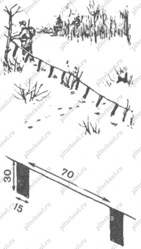 Рис. 3. Шнур с флажками для оклада развешивают на деревьях и кустах. Внизу приведены размеры (см)